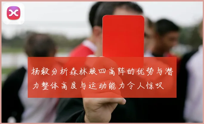 杨毅分析森林狼四高阵的优势与潜力整体高度与运动能力令人惊叹